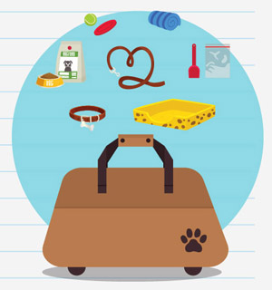 MJP_travel-with-dog_infographic-xmas_Bag