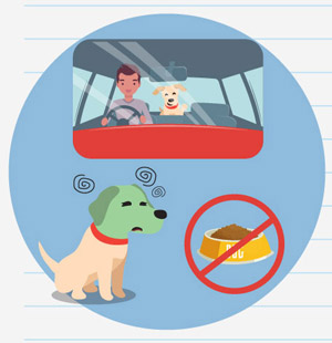 MJP_travel-with-dog_infographic-xmas_Car