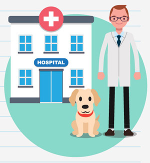 MJP_travel-with-dog_infographic-xmas_doctor