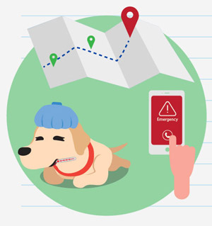 MJP_travel-with-dog_infographic-xmas_emergency